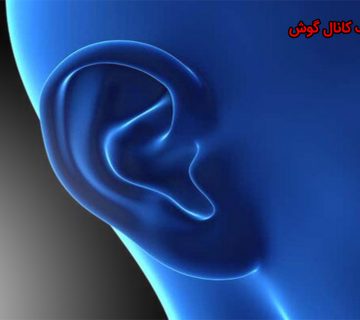 شبیه سازی آکوستیک کانال گوش