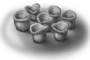 پیدا کردن Ediacara Biota