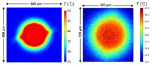 شبیه سازی سنتز دی ان ای (DNA) با کامسول 2