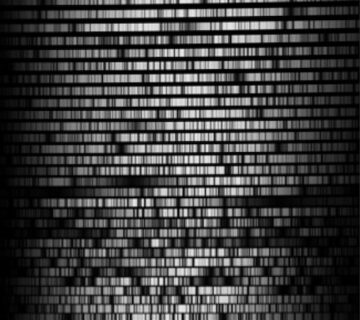 شبیه سازی طیف نگاری با کامسول 1